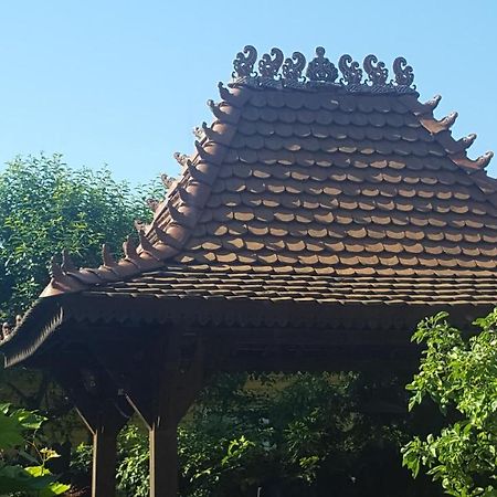 Pas Birute Hotel Каунас Екстериор снимка